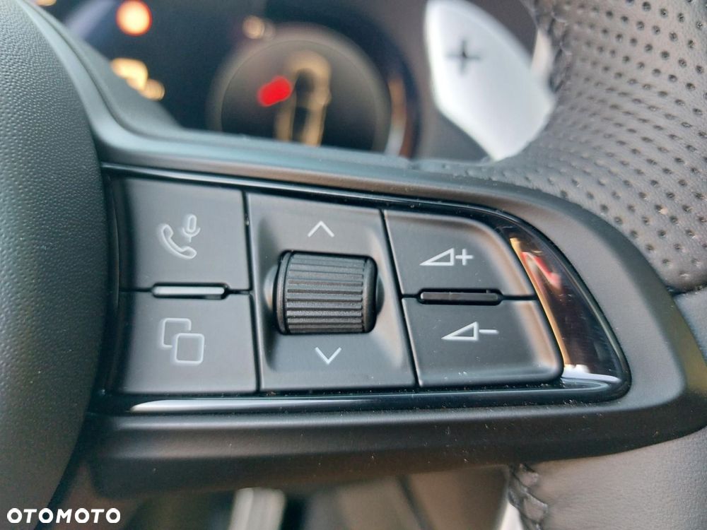 Alfa Romeo Stelvio 2.0 Turbo Veloce Q4 - 24