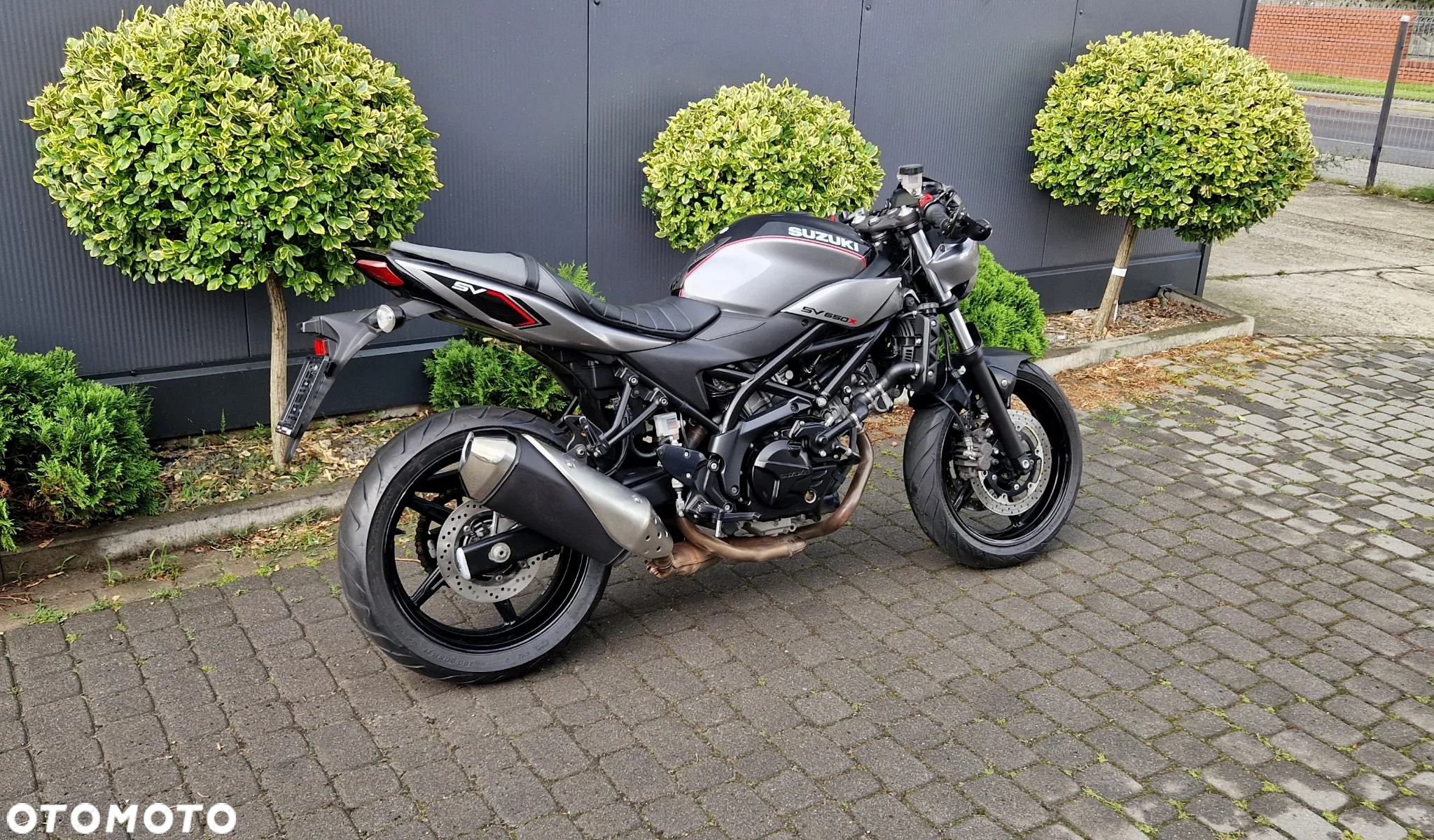 Suzuki SV - 4