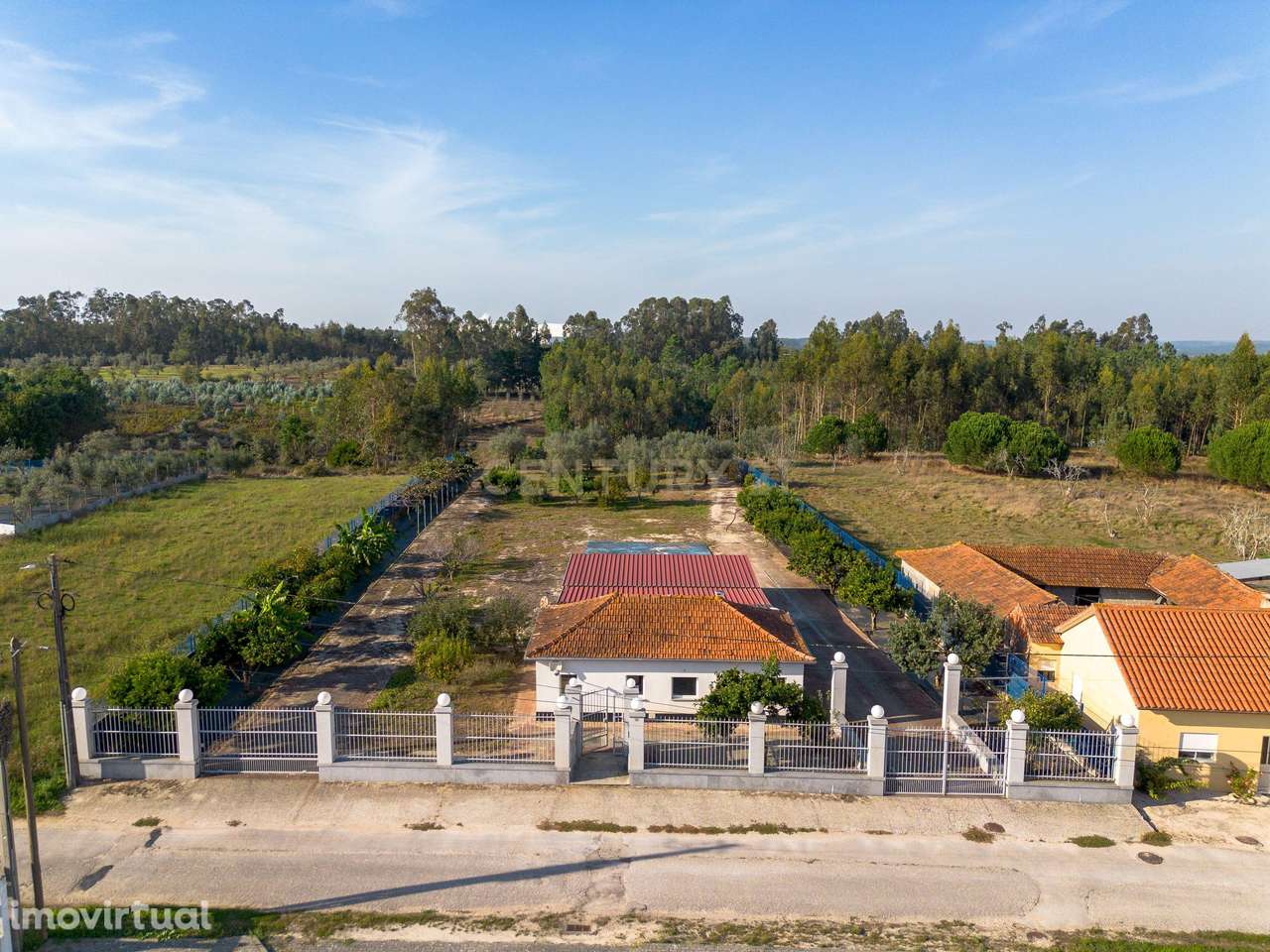 Quinta com Moradia || Um refúgio de tranquilidade e natureza - Grande imagem: 2/43