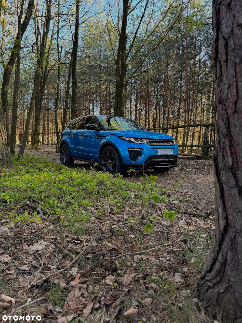 Land Rover Range Rover Evoque 2.0TD4 SE Dynamic Special Edition - 5