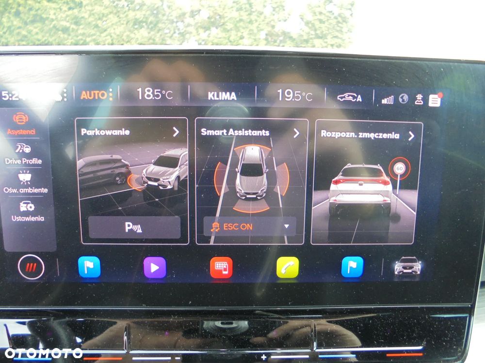 Cupra Formentor 1.5 TSI DSG Tribe Edition - 24