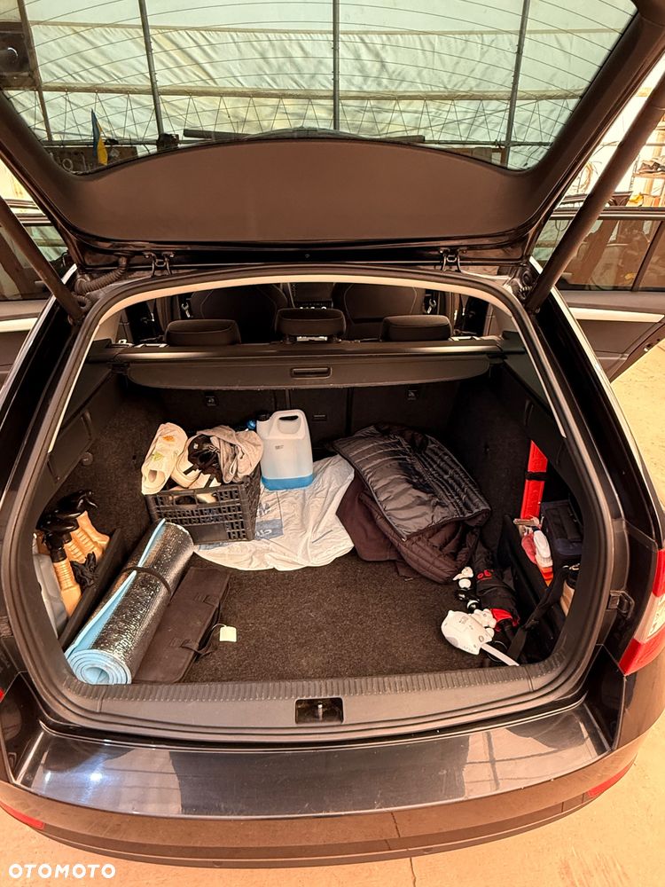Skoda Octavia 1.6 TDI Ambition DSG - 8