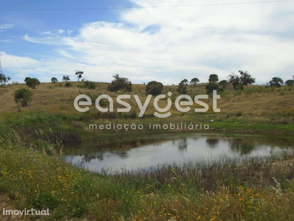 Terreno com 92 Ha a cerca de 5 Km do Centro de Santiago do Cacém - Grande imagem: 3/48