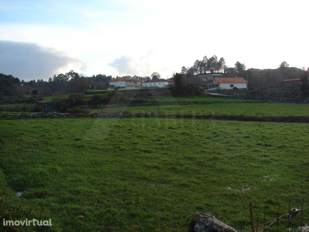 Terreno Agrícola - Grande imagem: 2/4