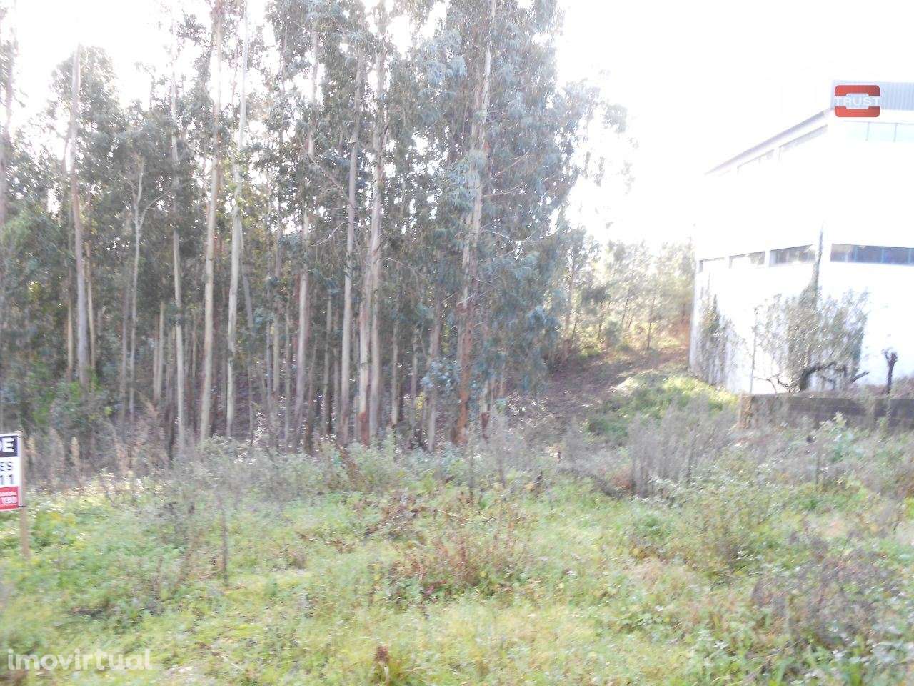 TERRENO COM AREA DE 2000 M2 PARA CONSTRUÇÃO EM CASAL DOS LOBOS SÃO ... - Grande imagem: 4/12