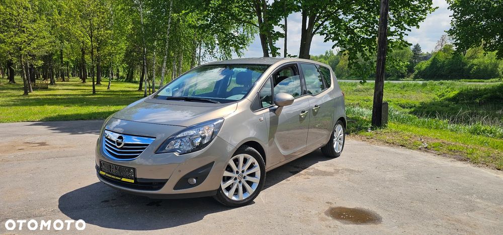 Opel Meriva 1.4 Ecoflex Color Edition - 13