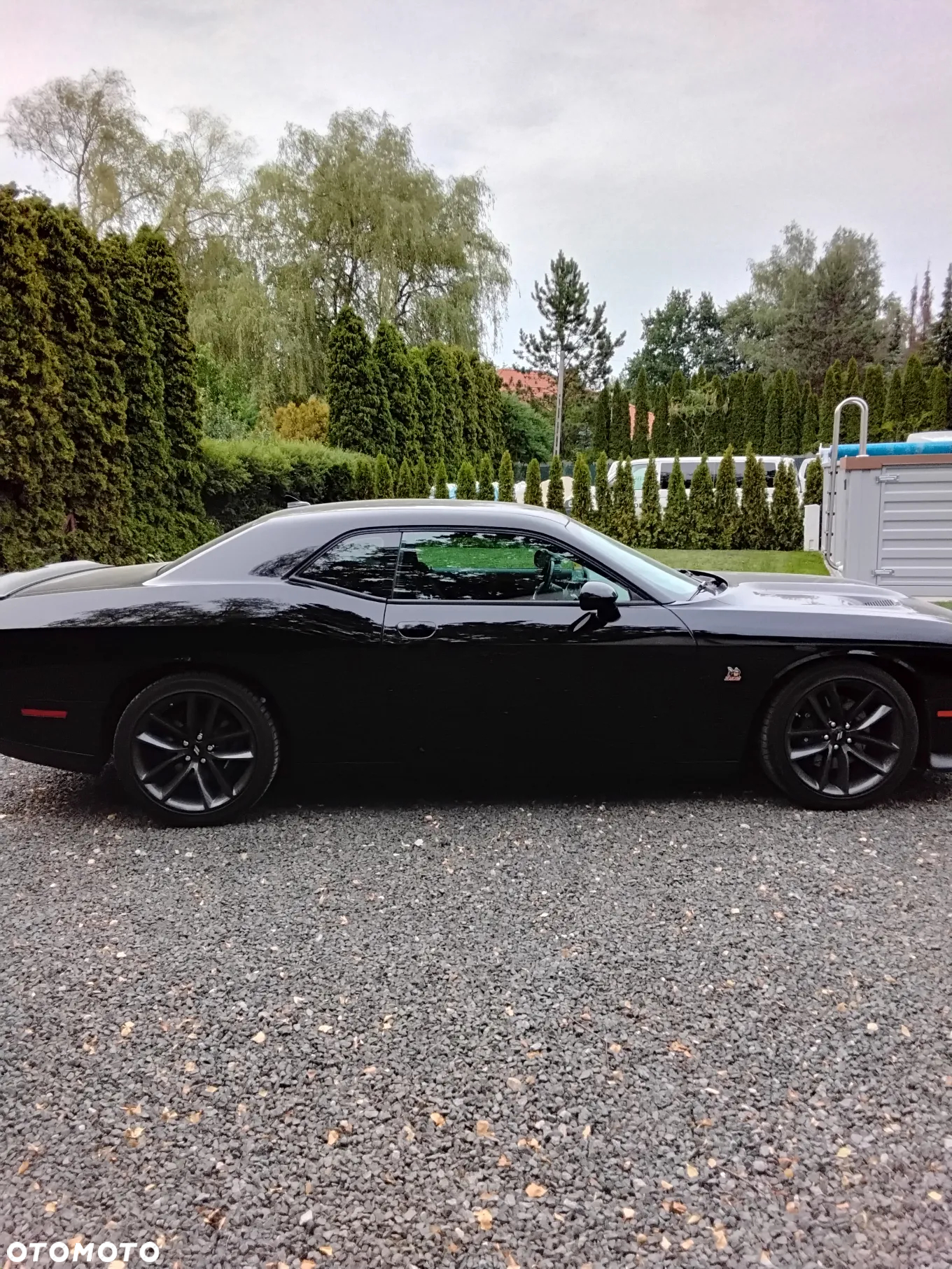 Dodge Challenger 6.4 Scat Pack - 3