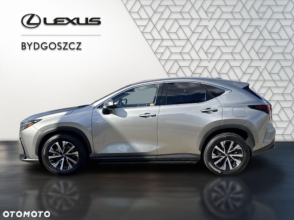 Lexus NX - 7