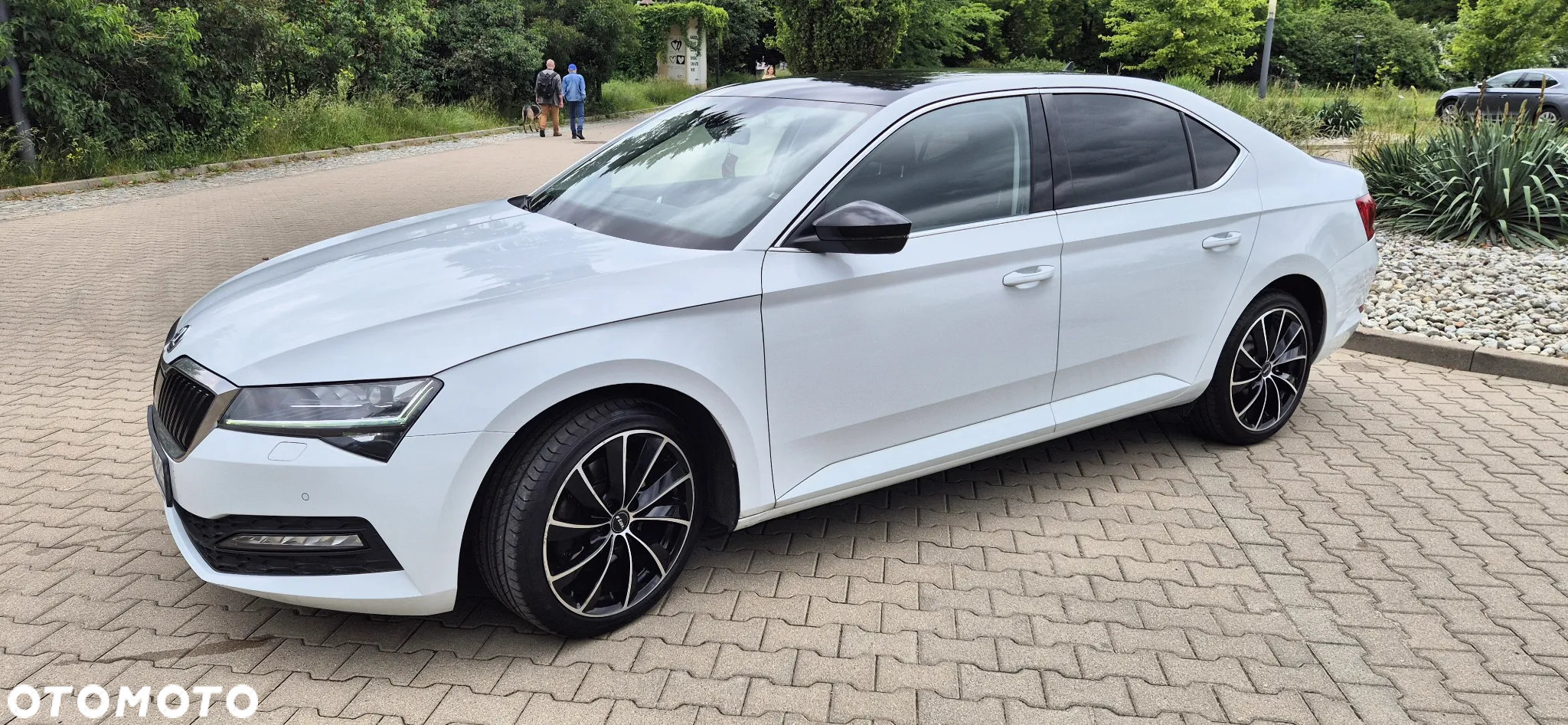 Skoda Superb - 14
