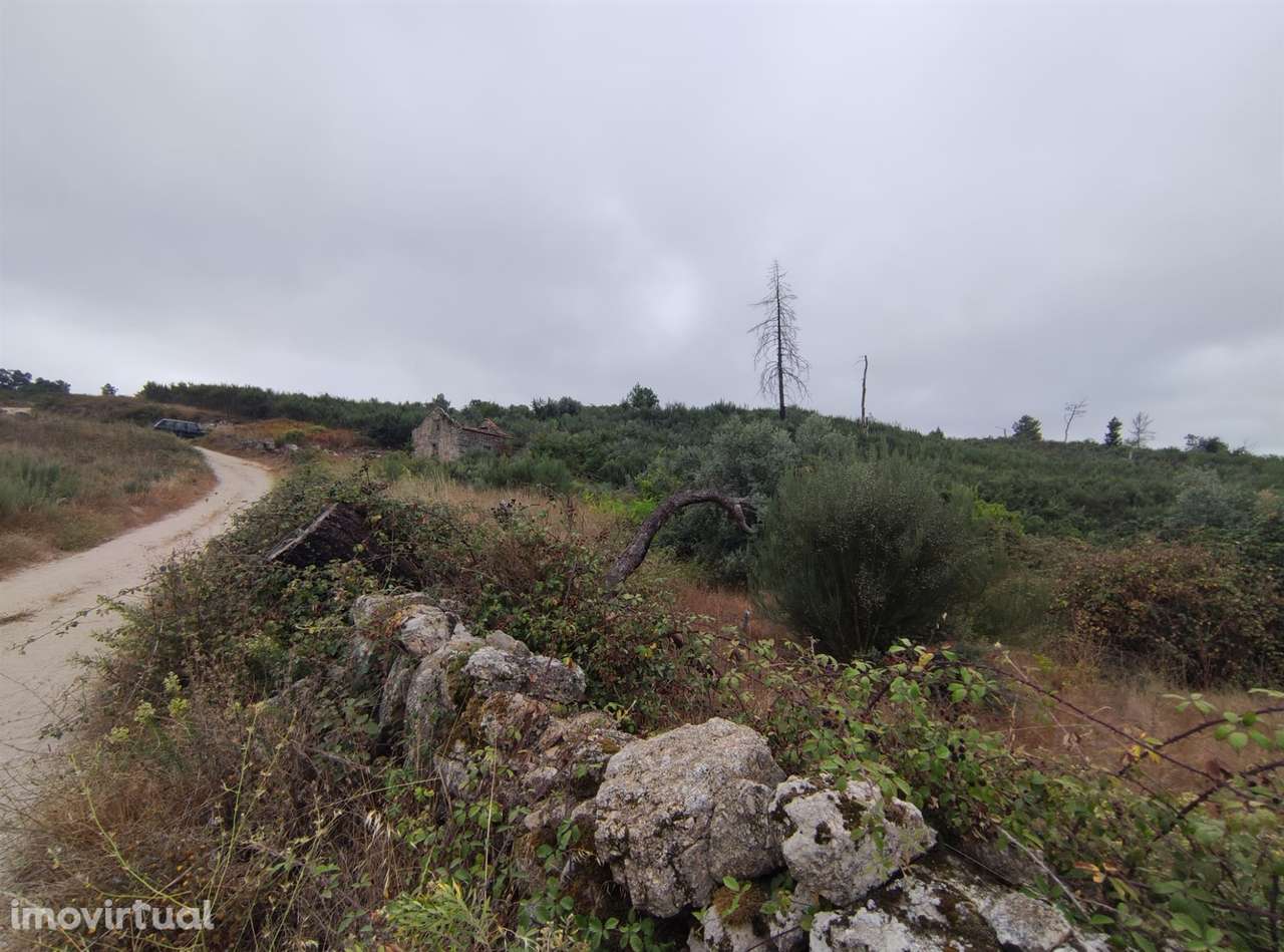 Quintinha para habitação - Grande imagem: 4/9