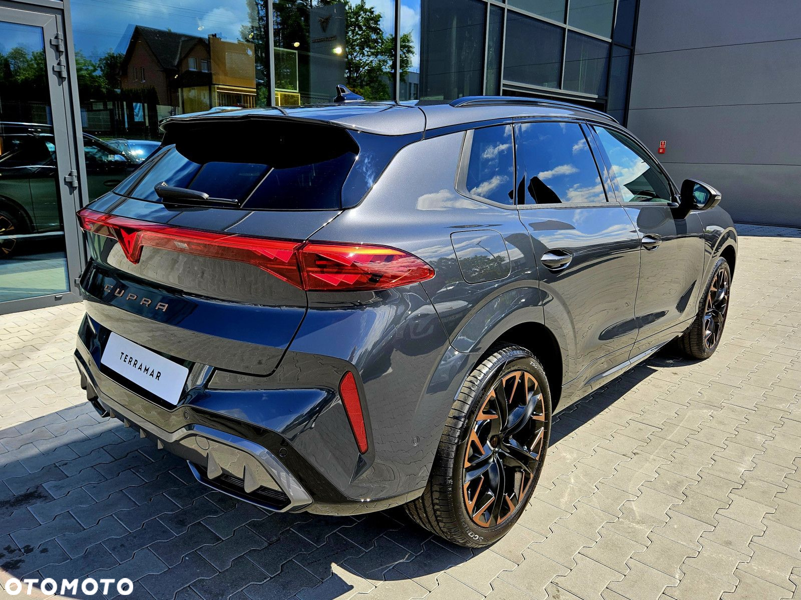 Cupra Terramar - 4