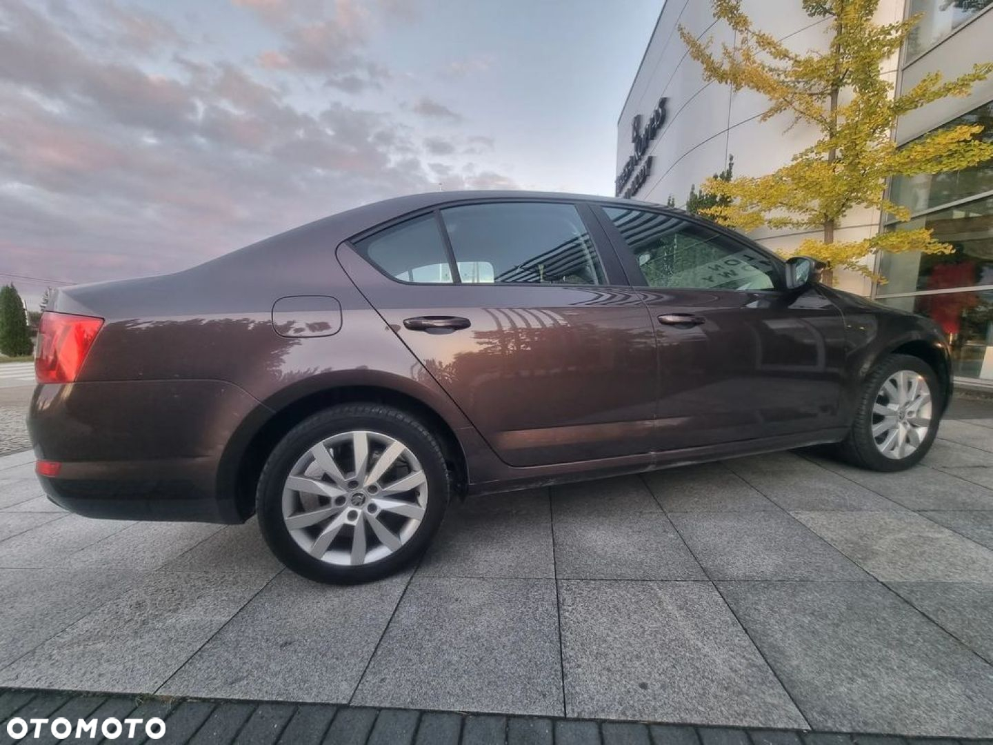 Skoda Octavia 1.6 TDI Elegance - 22
