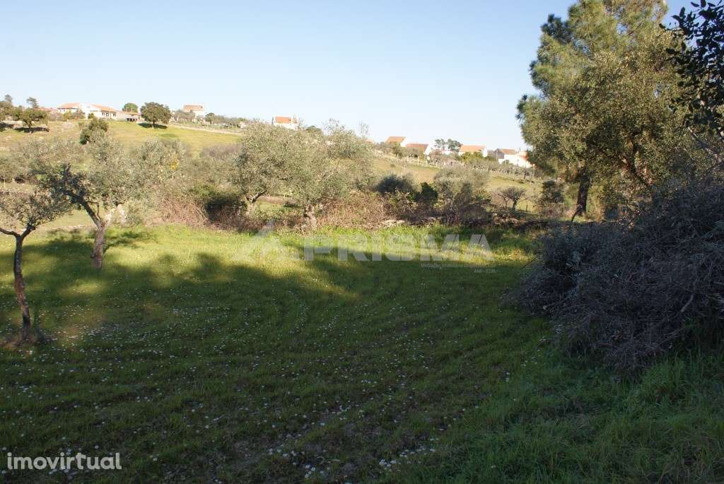 Terreno tipo horta para venda - Grande imagem: 5/8