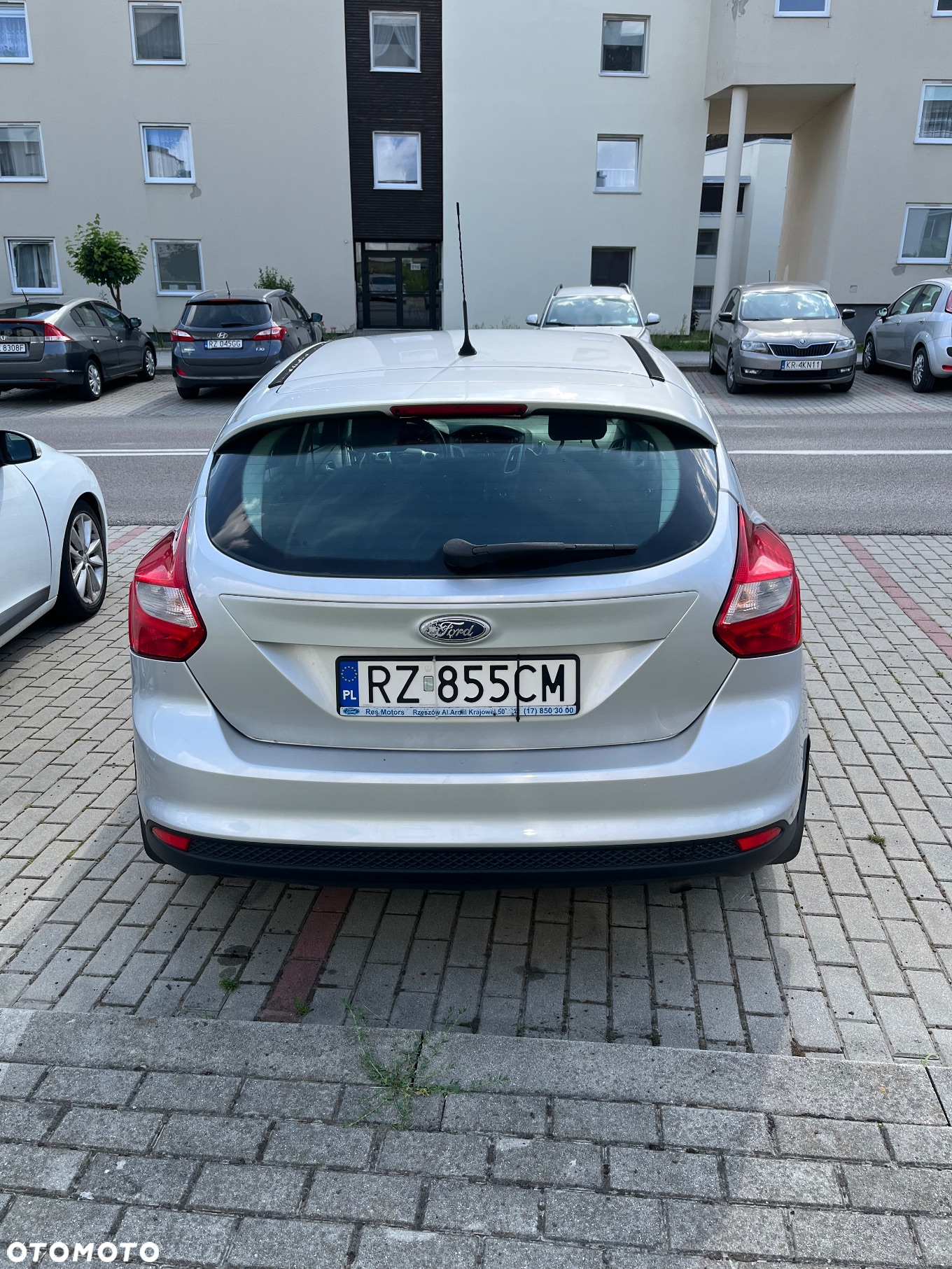 Ford Focus - 4