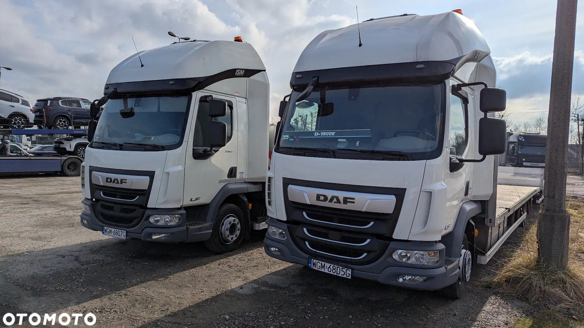 DAF LF 260 - 7