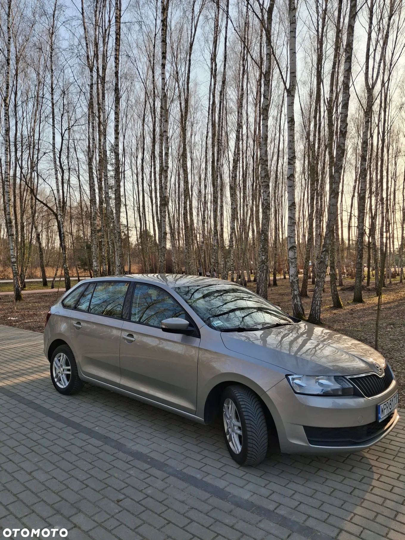 Skoda RAPID 1.0 TSI Ambition - 3