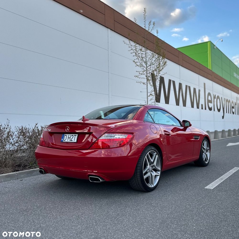 Mercedes-Benz SLK 250 (BlueEFFICIENCY) 7G-TRONIC - 31