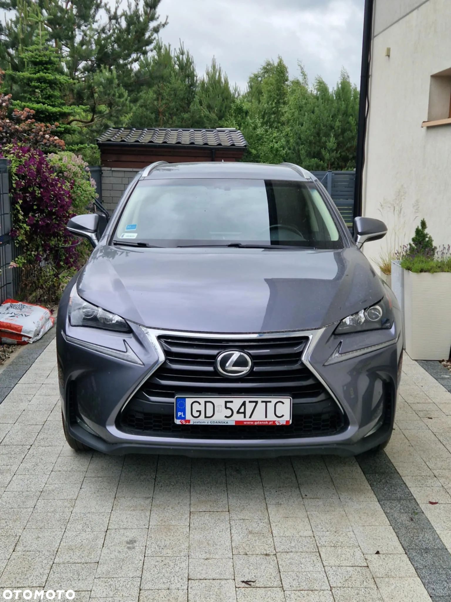 Lexus NX 200t Comfort AWD - 1