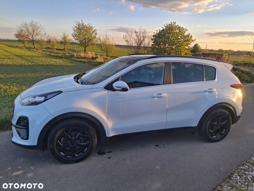 Kia Sportage 1.6 CRDI 2WD Eco-Dynamics+ (48V M-H) Black Edition - 14