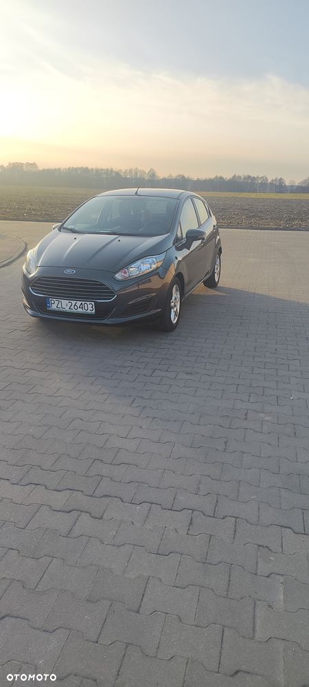 Ford Fiesta - 1