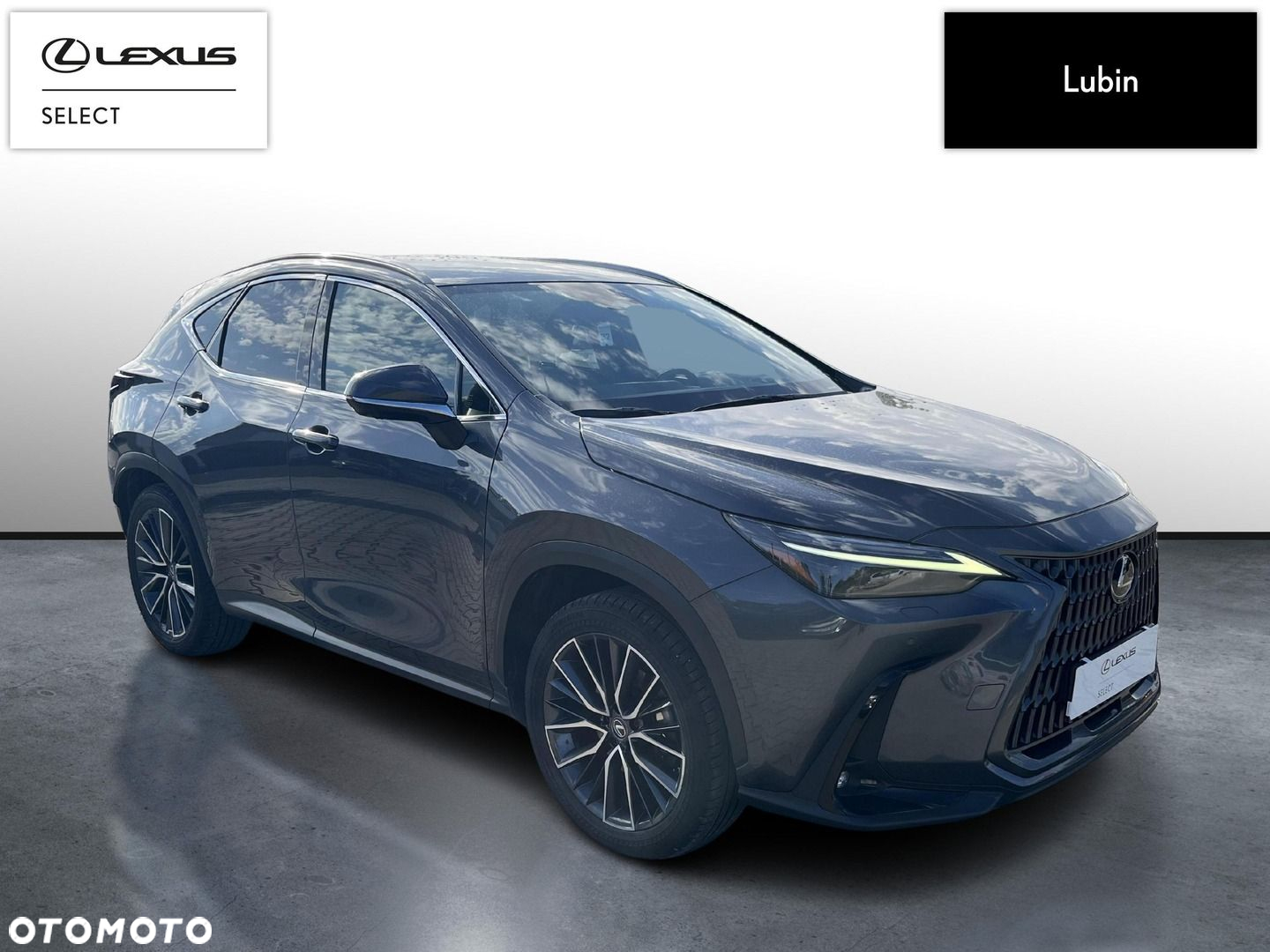 Lexus NX - 7
