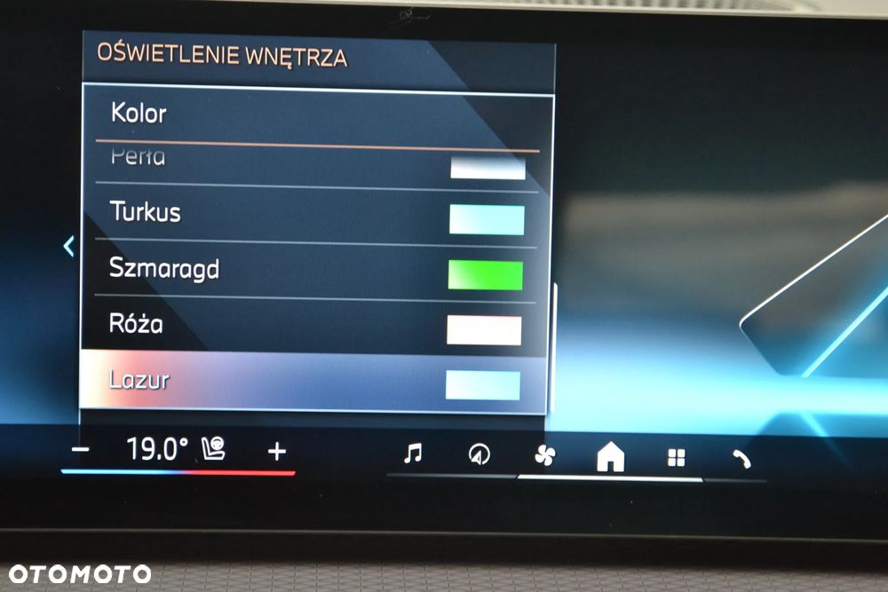 BMW Seria 3 318i M Sport - 14