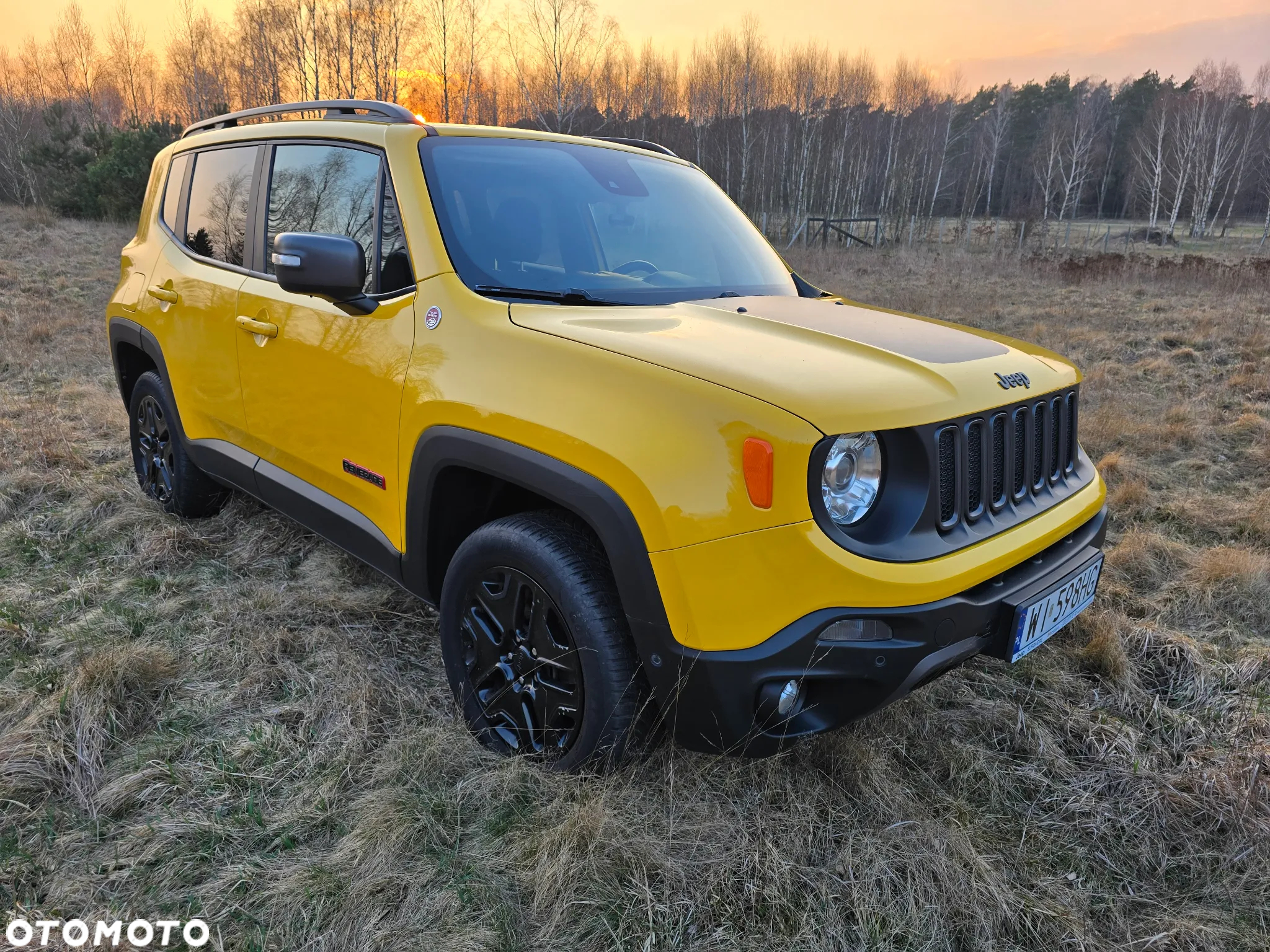 Jeep Renegade 2.0 MultiJet Trailhawk 4WD S&S - 12