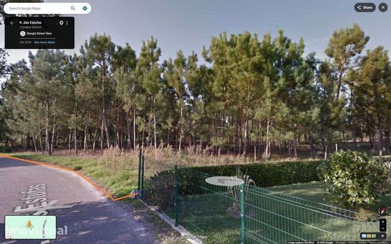 Terreno no Bebedouro 5000m2 - Grande imagem: 3/4