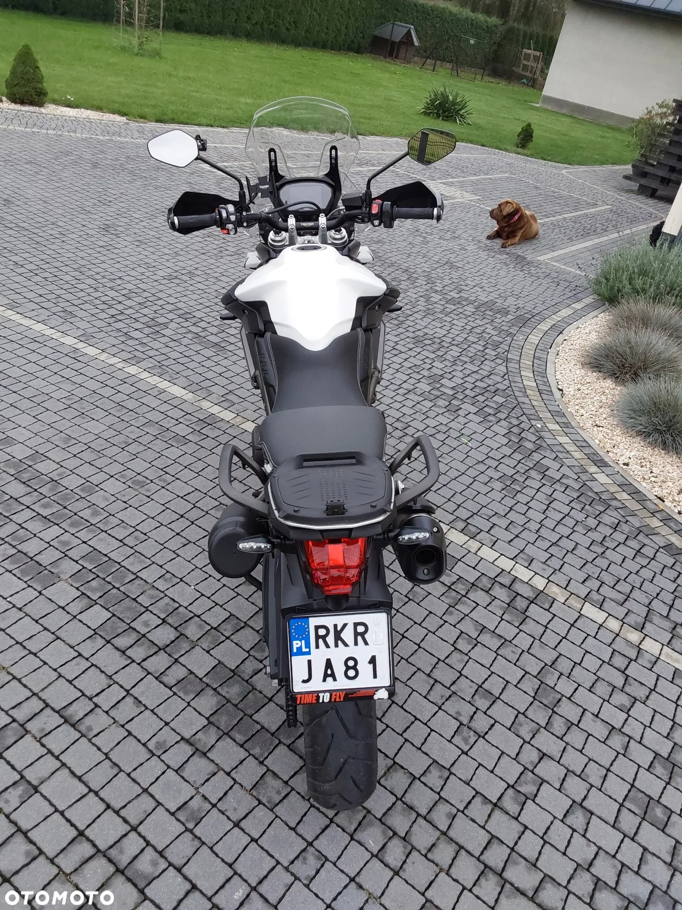 Triumph Tiger - 17