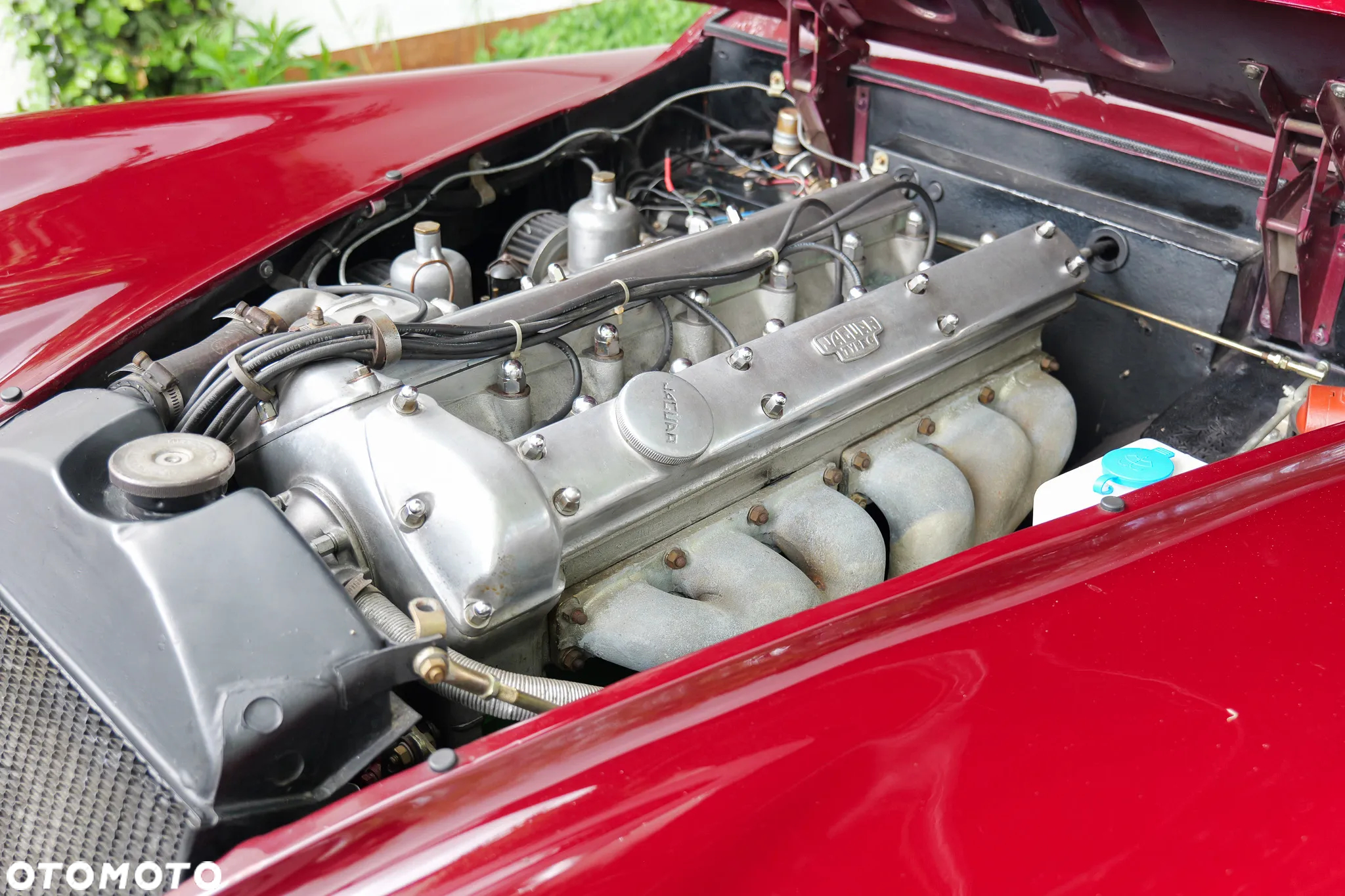 Jaguar XK - 28