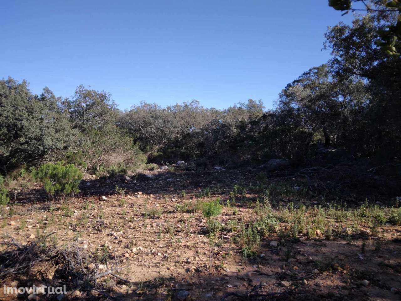 Terreno nos arredores de São Brás de Alportel - Grande imagem: 3/9
