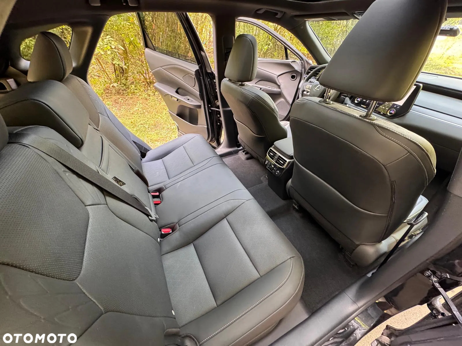 Lexus RX 350h (hybrid) Business - 23