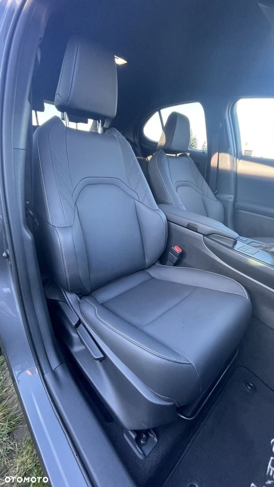 Lexus UX 250h GPF F Sport Design 2WD - 10