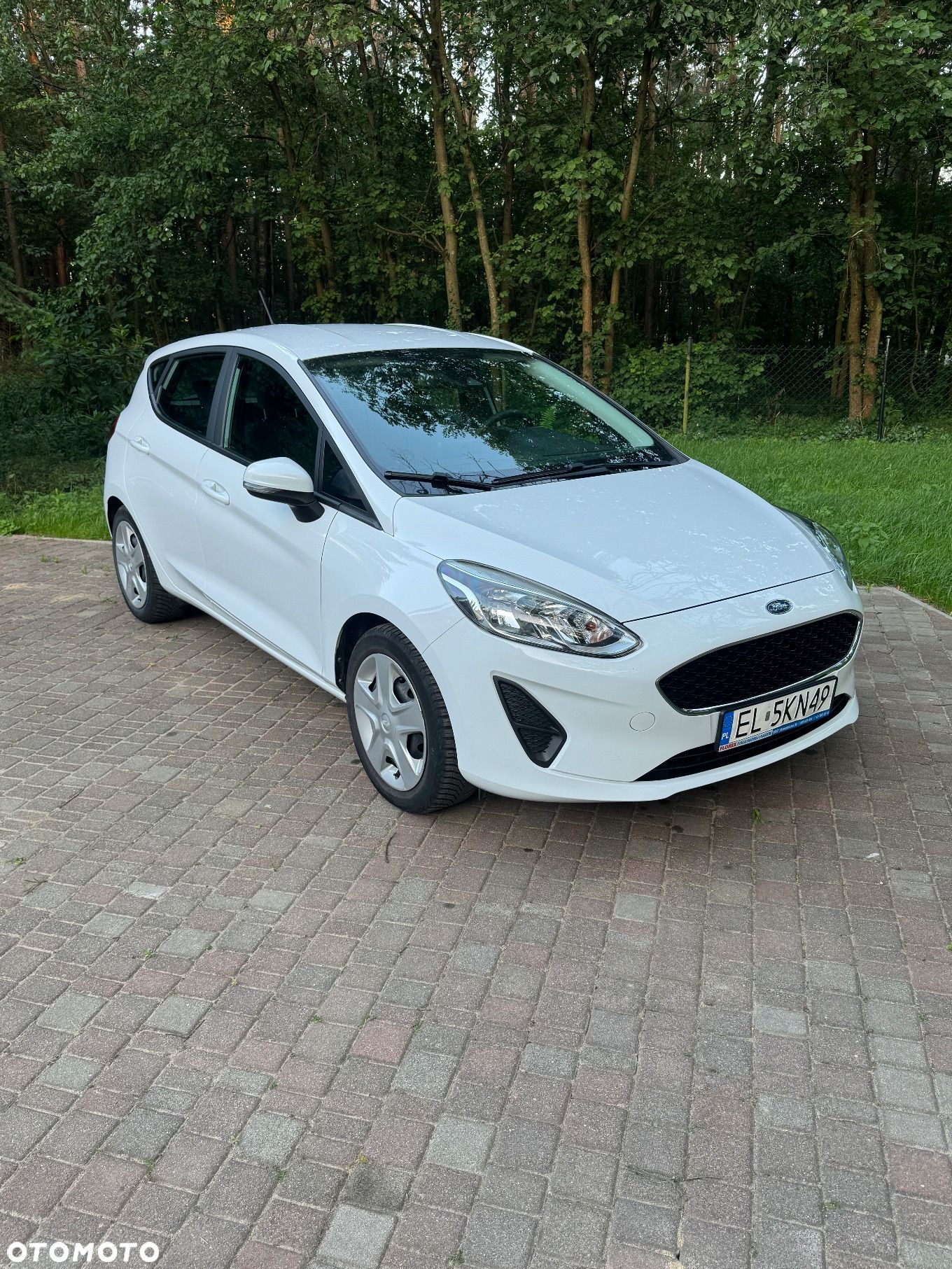 Ford Fiesta - 1