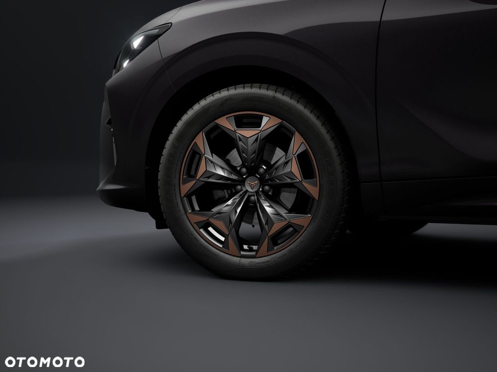 Cupra Terramar 2.0 TSI 4Drive DSG - 4