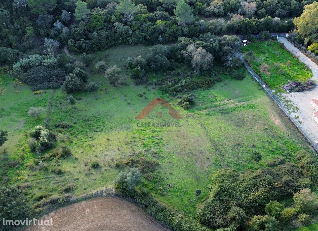 Terreno Rústico  Venda em Manique do Intendente, Vila Nova de São Pedr - Grande imagem: 2/7
