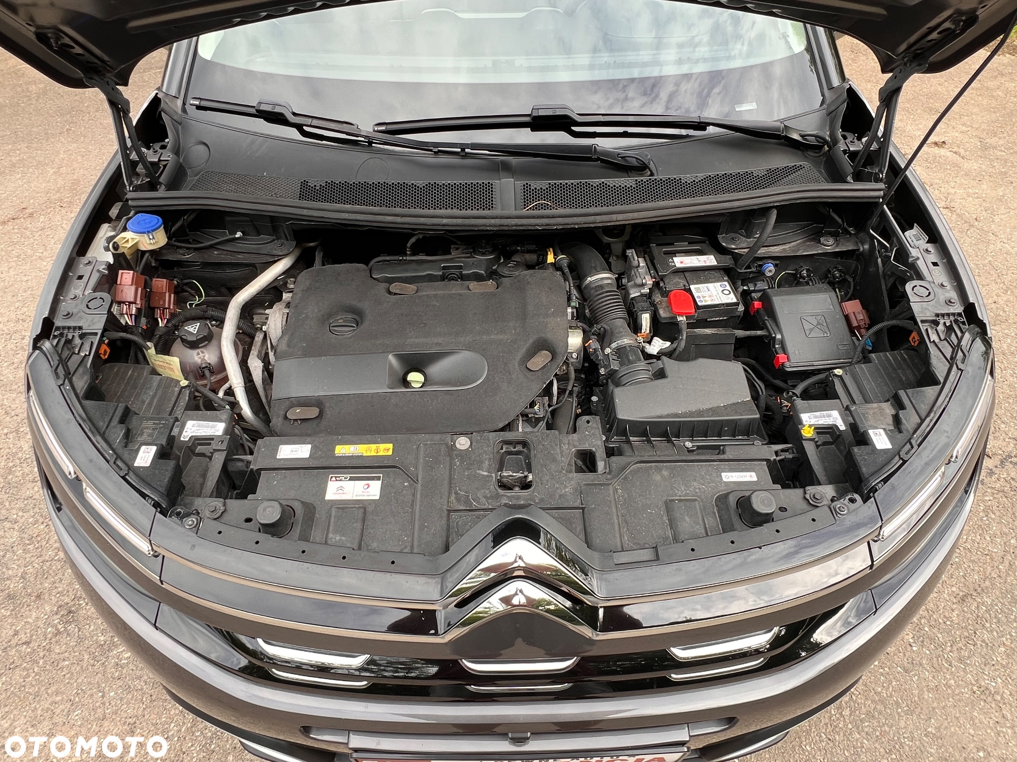 Citroën C5 Aircross 2.0 BlueHDi Shine EAT8 - 37