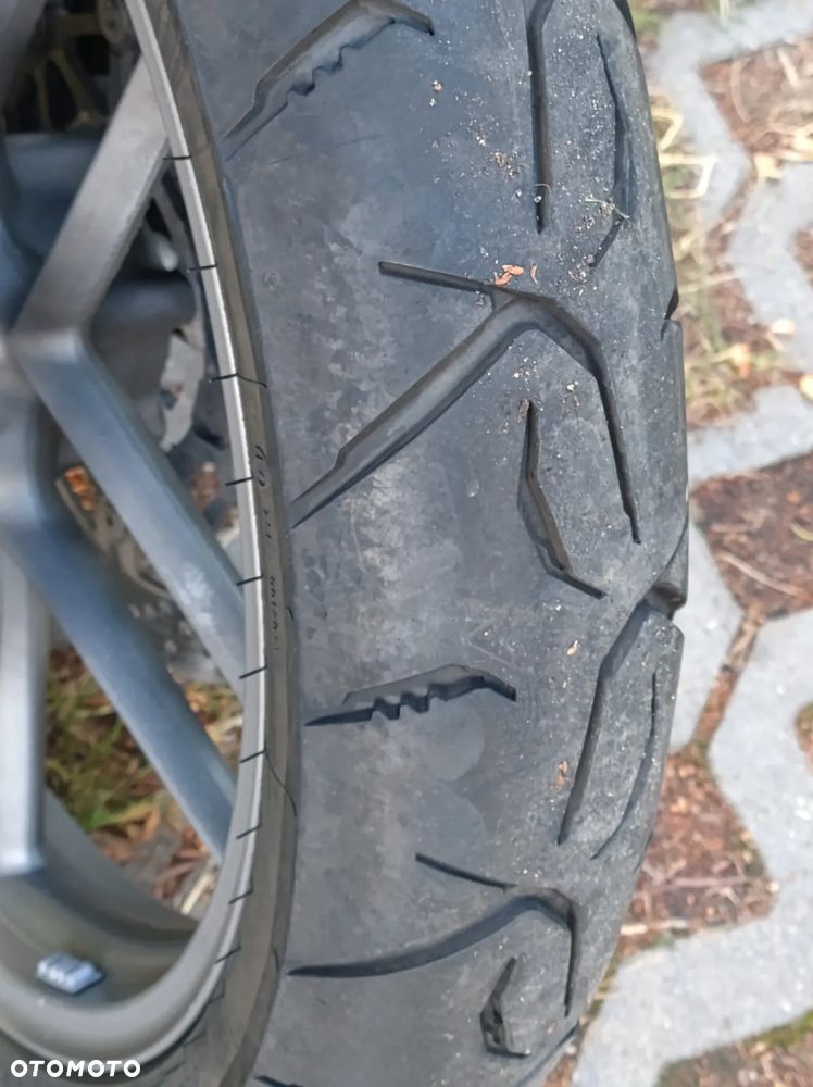 Triumph Tiger - 18