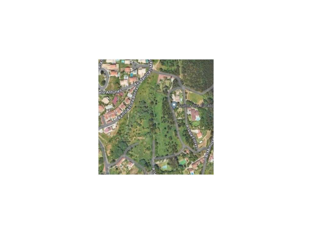 Terreno para Venda em Sintra - Grande imagem: 5/60