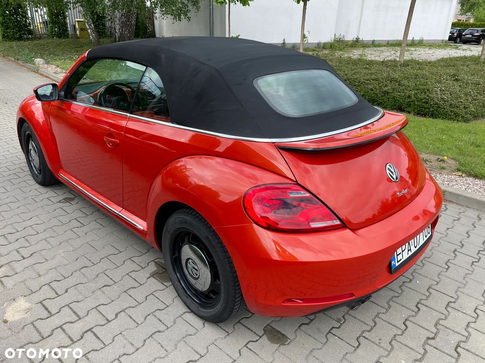 Volkswagen Beetle - 14