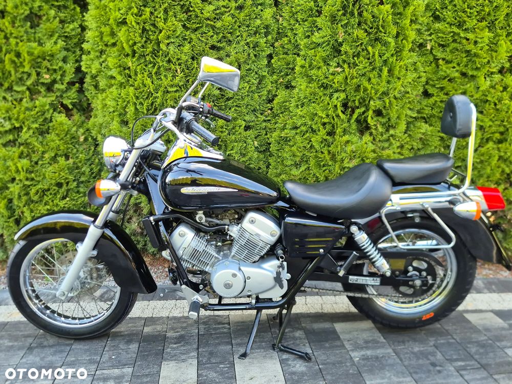 Honda Shadow - 5