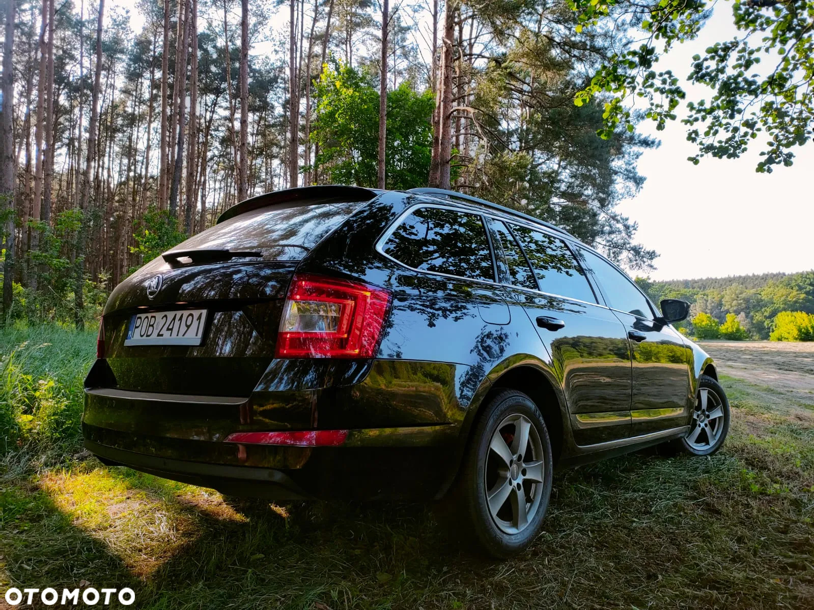 Skoda Octavia 1.6 TDI Ambition DSG - 5