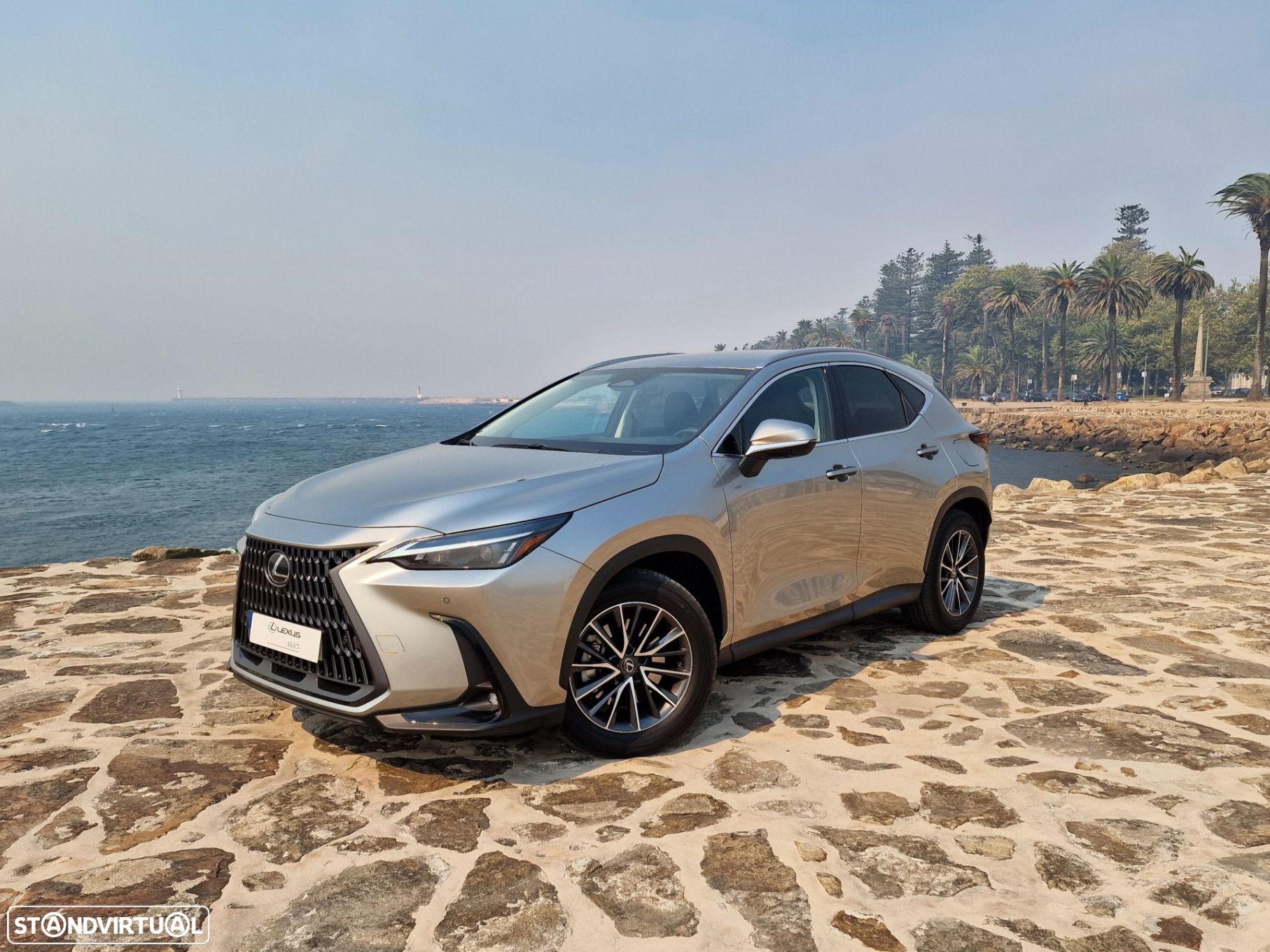 Lexus NX 450h+ - 1