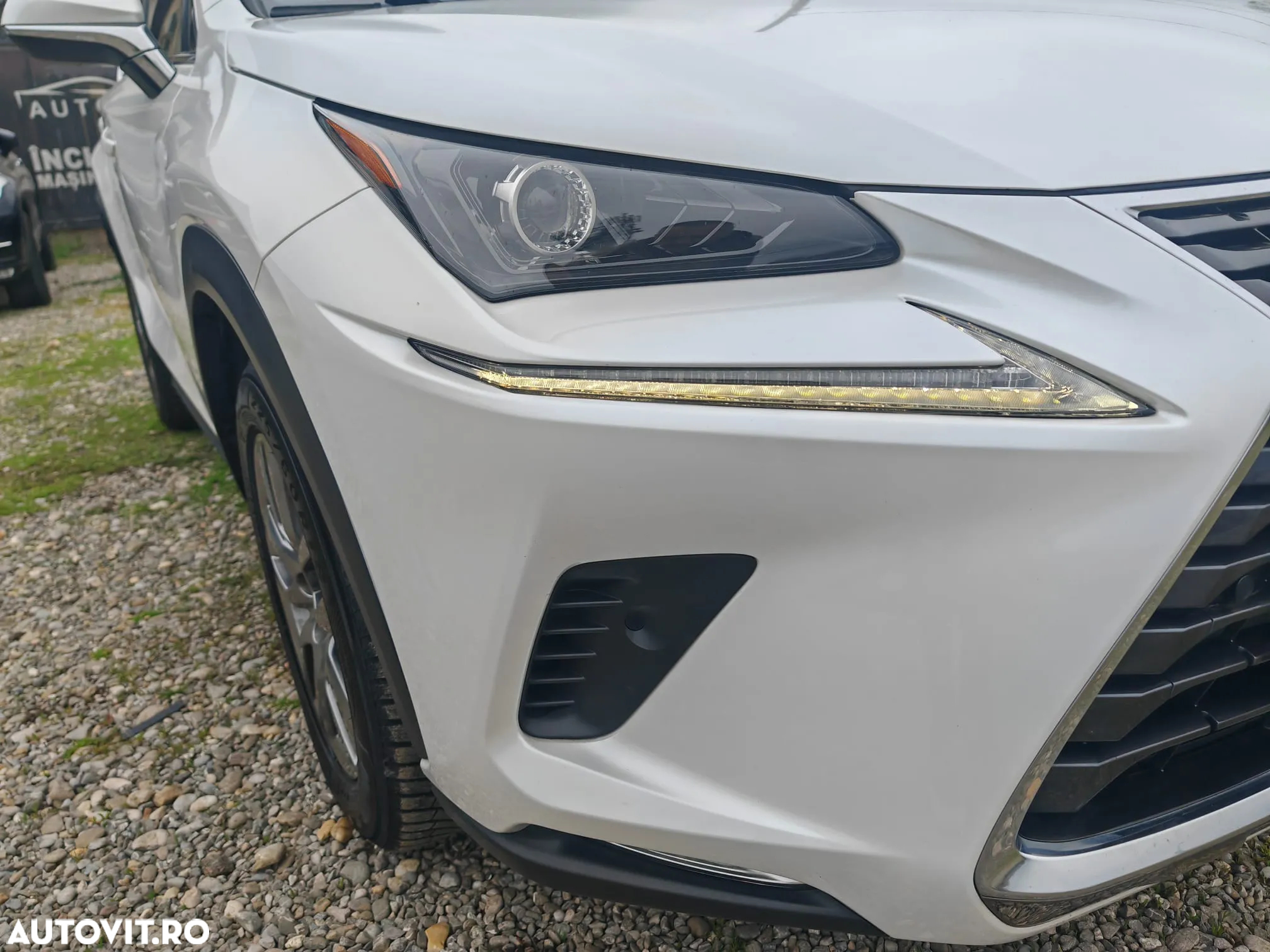 Lexus Seria NX 300h AWD Luxury - 23