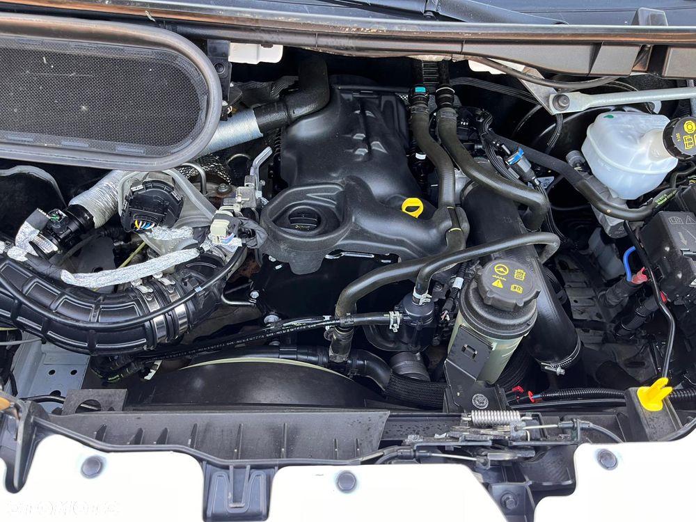 Ford Transit - 20