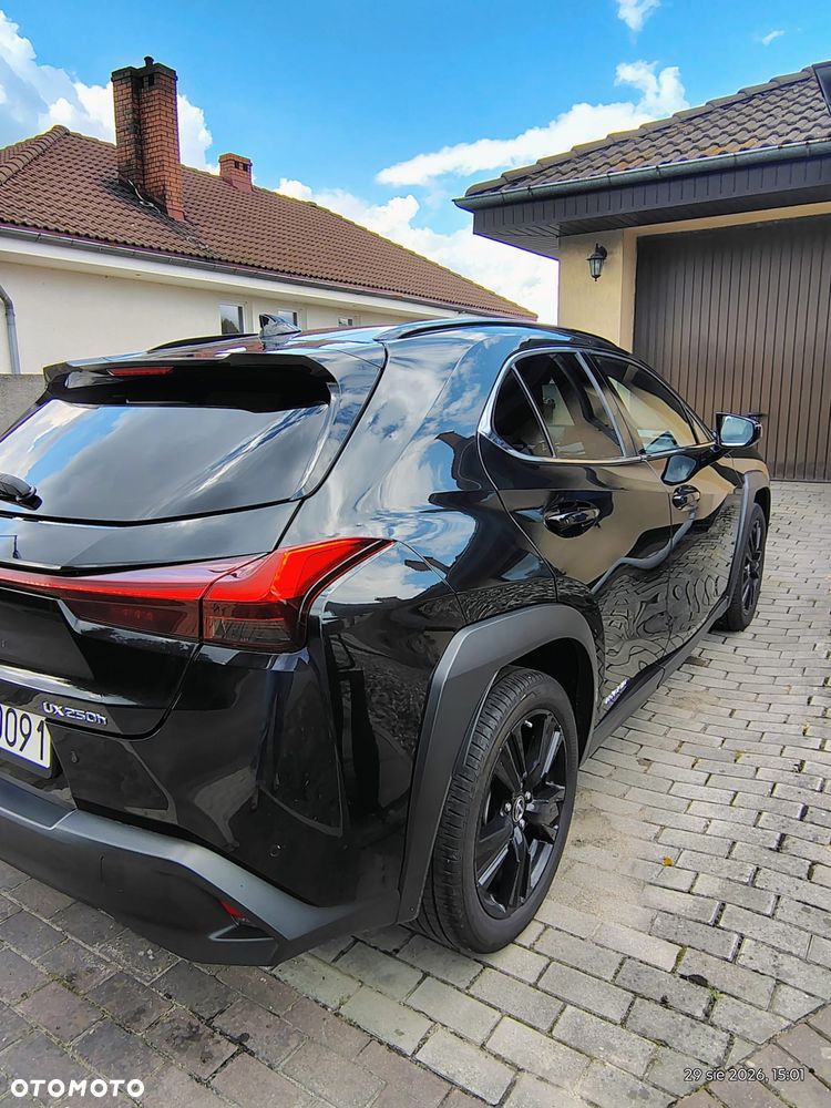 Lexus UX 250h Prestige 2WD - 3