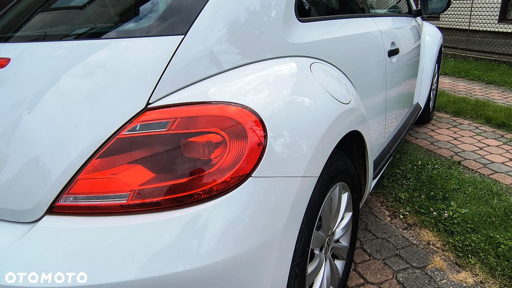 Volkswagen Beetle - 8