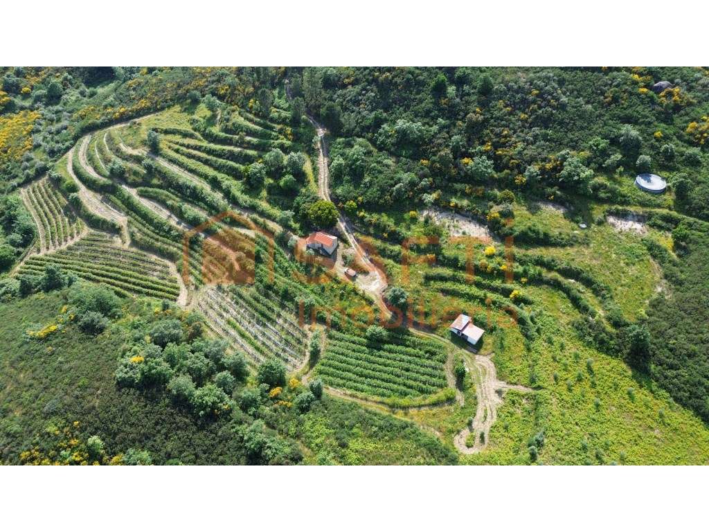 Propriedade Rural com cerca de 6 hectares com pequena residência de... - Grande imagem: 3/59