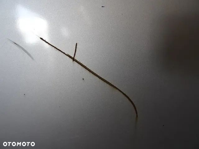 DRZWI PRAWY TYŁ PRAWE TYLNE LDV MAXUS 05-09 NR301 - 9