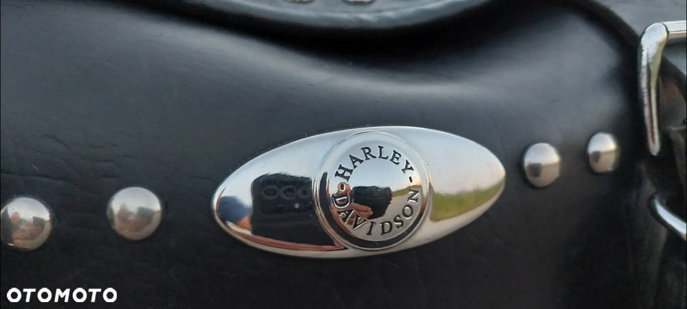 Harley-Davidson Softail - 21